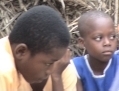 Ewe kids